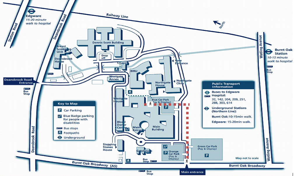 Diabetes :: Central London Community Healthcare NHS Trust