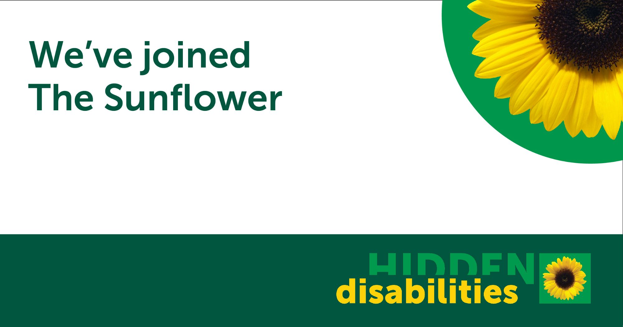 sunflower-3.jpg